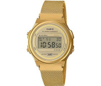 Casio Collection A-171WEMG-9A