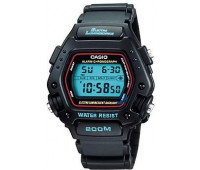 Casio Sports DW-290-1V