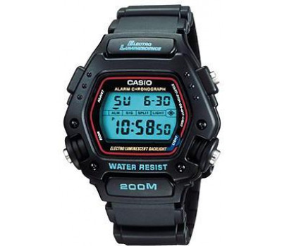 Casio Sports DW-290-1V