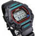 Casio Sports DW-290-1V