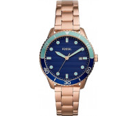 Fossil Dayle BQ3599